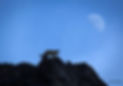 Photo The Ghost by Bjorn Persson
