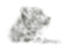 Fiona Anderson Cub in Charcoal I HiRes Entry 53.jpg